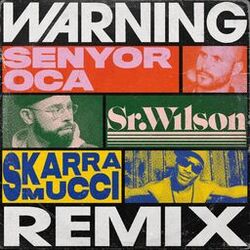Cover of Warning (Remix)