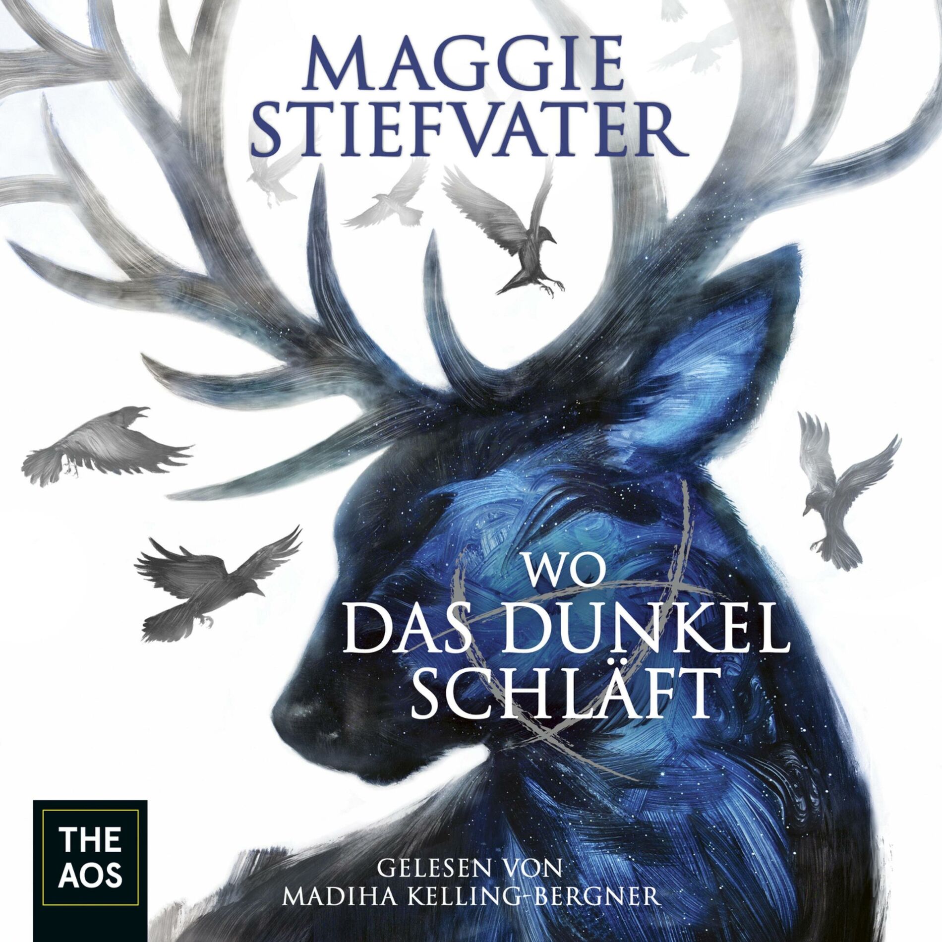 Album cover of Wo das Dunkel schläft
