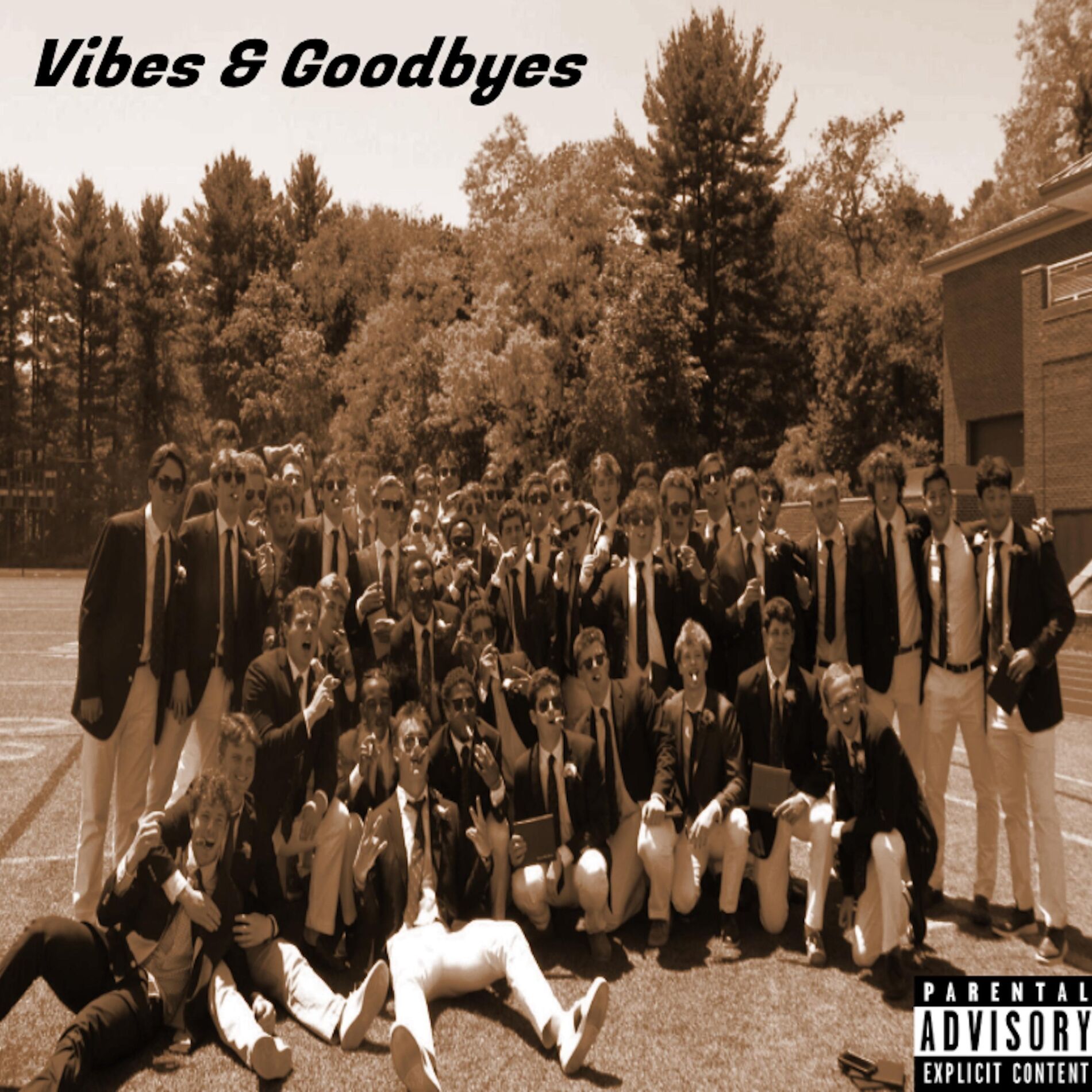 Album cover of Vibes & Goodbyes