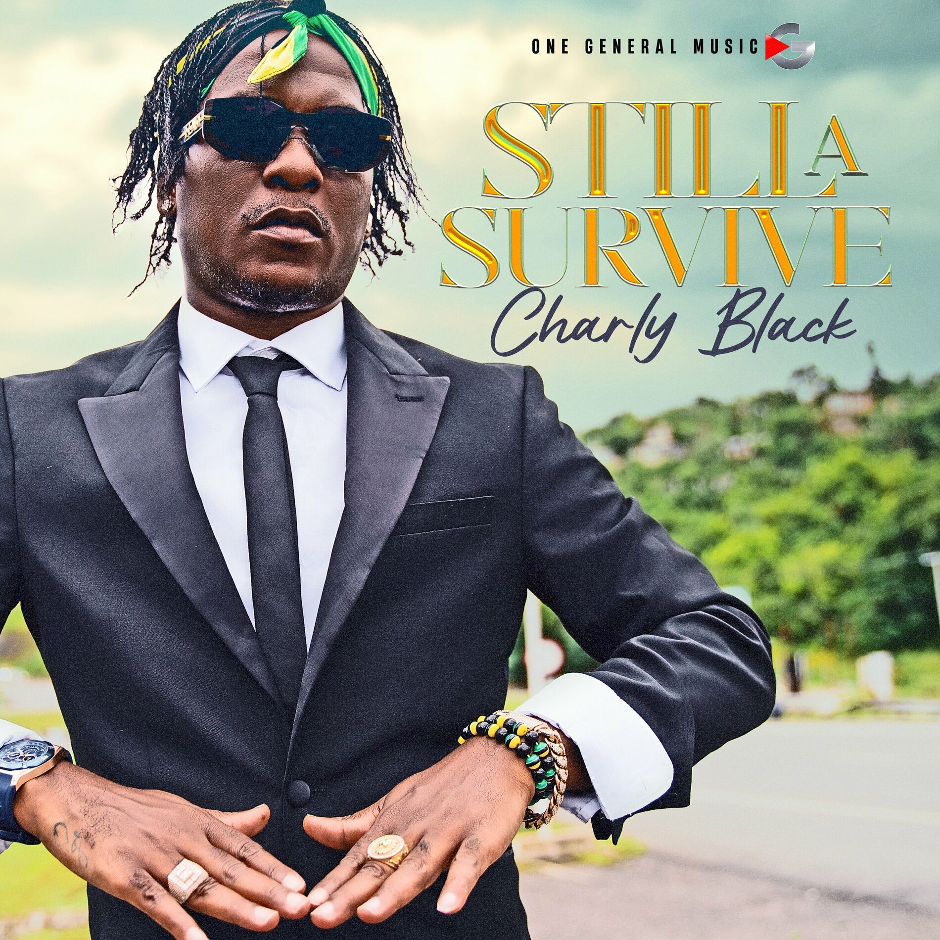 Album cover of Still a Survive