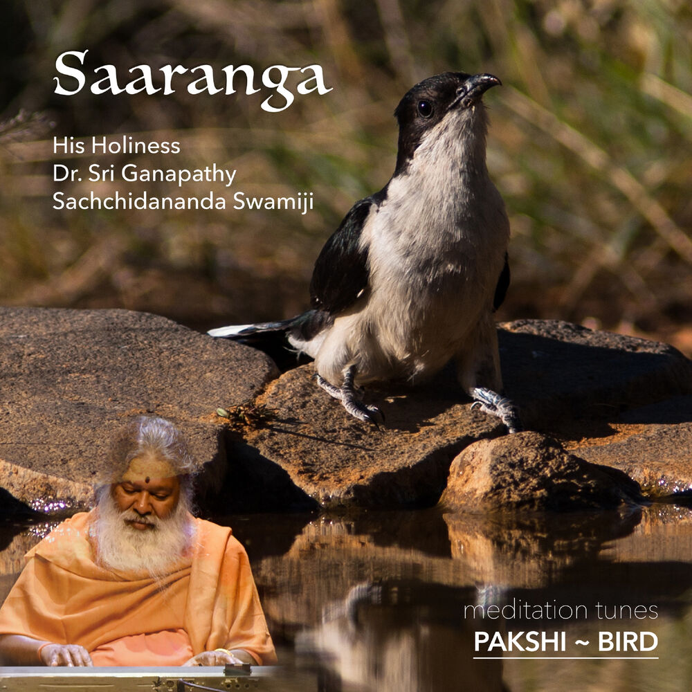Picture of Meditation Tunes - Pakshi / Bird - Saaranga