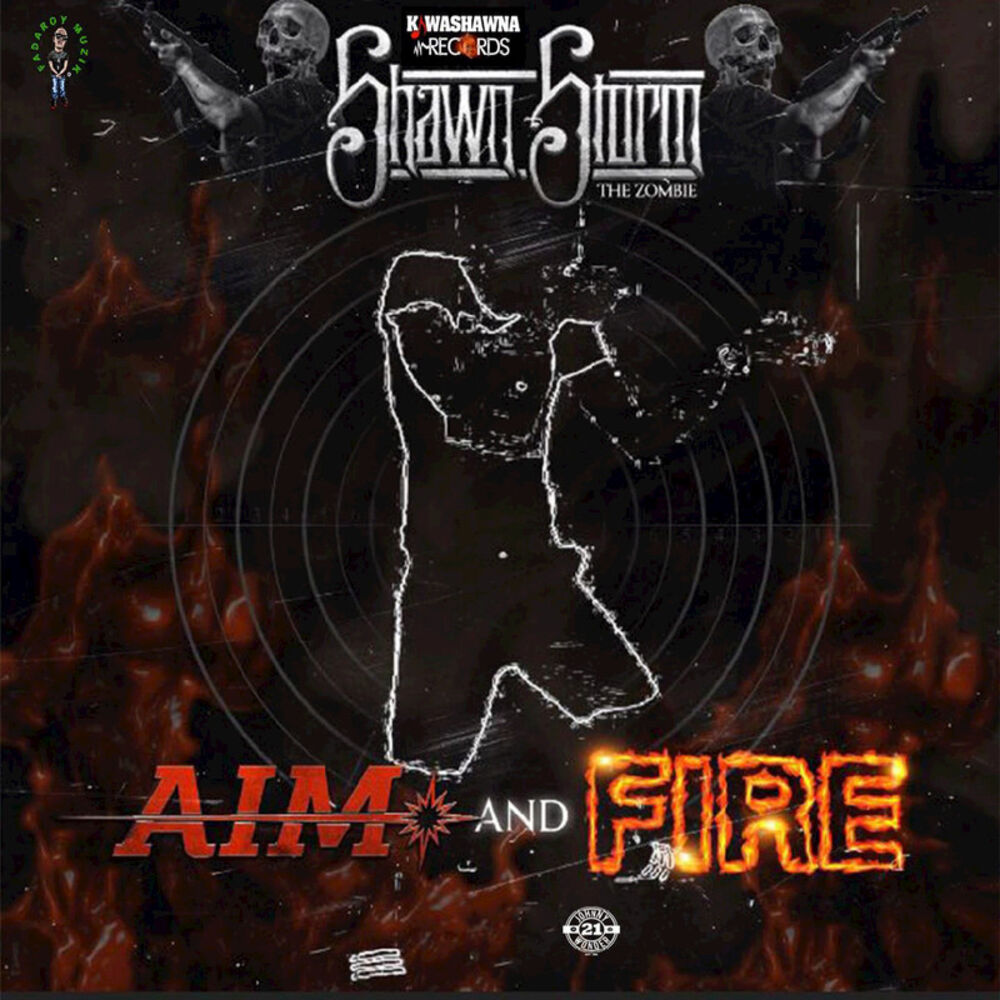 Picture of Aim & Fire