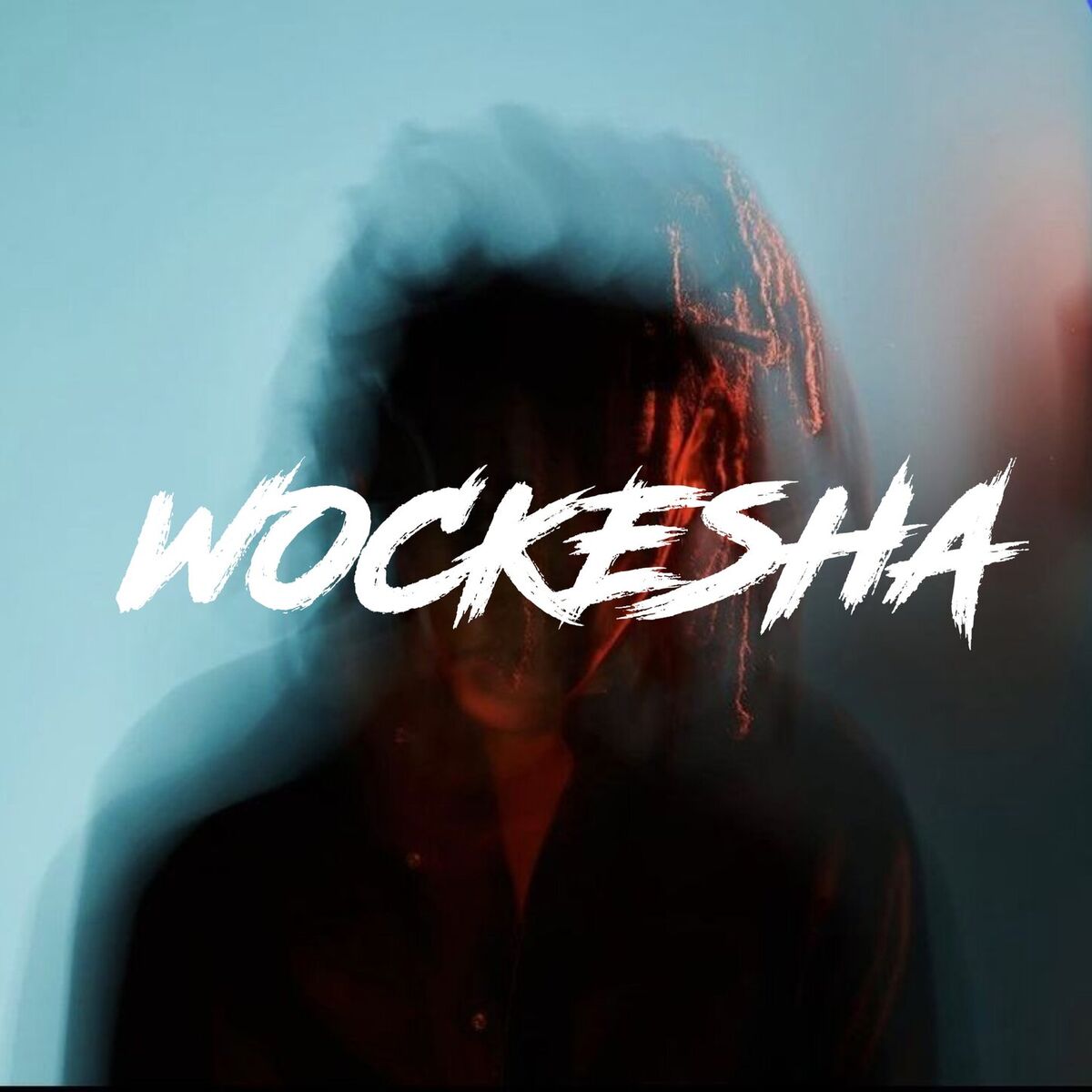 Album cover of Wockesha
