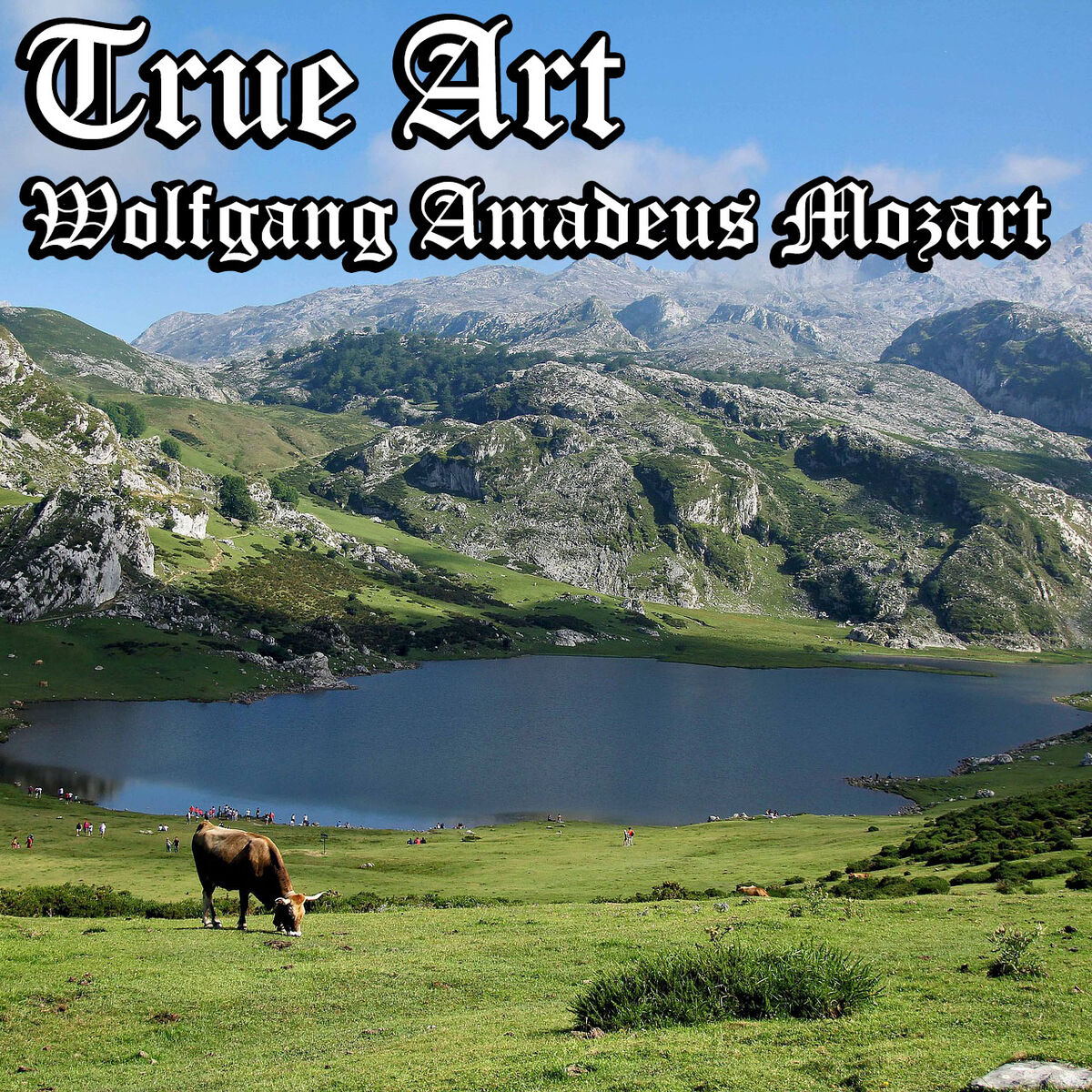 Album cover of True Art: Wolfgang Amadeus Mozart