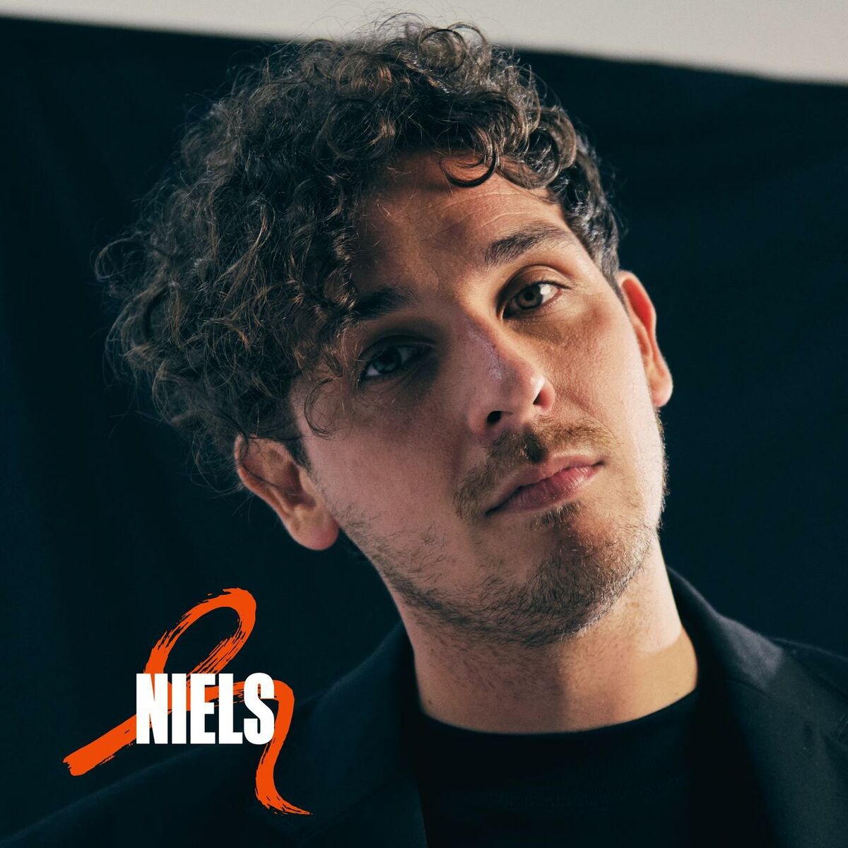 Album cover of NIELS
