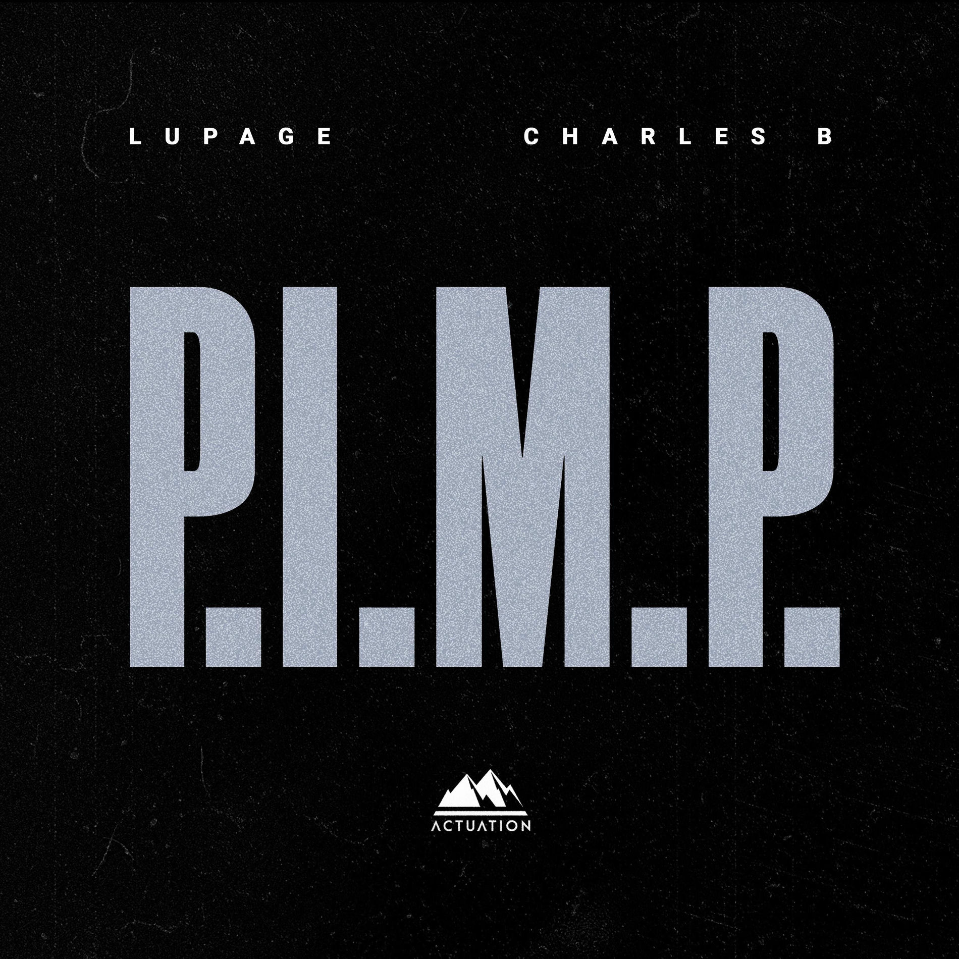 Album cover of P.I.M.P.