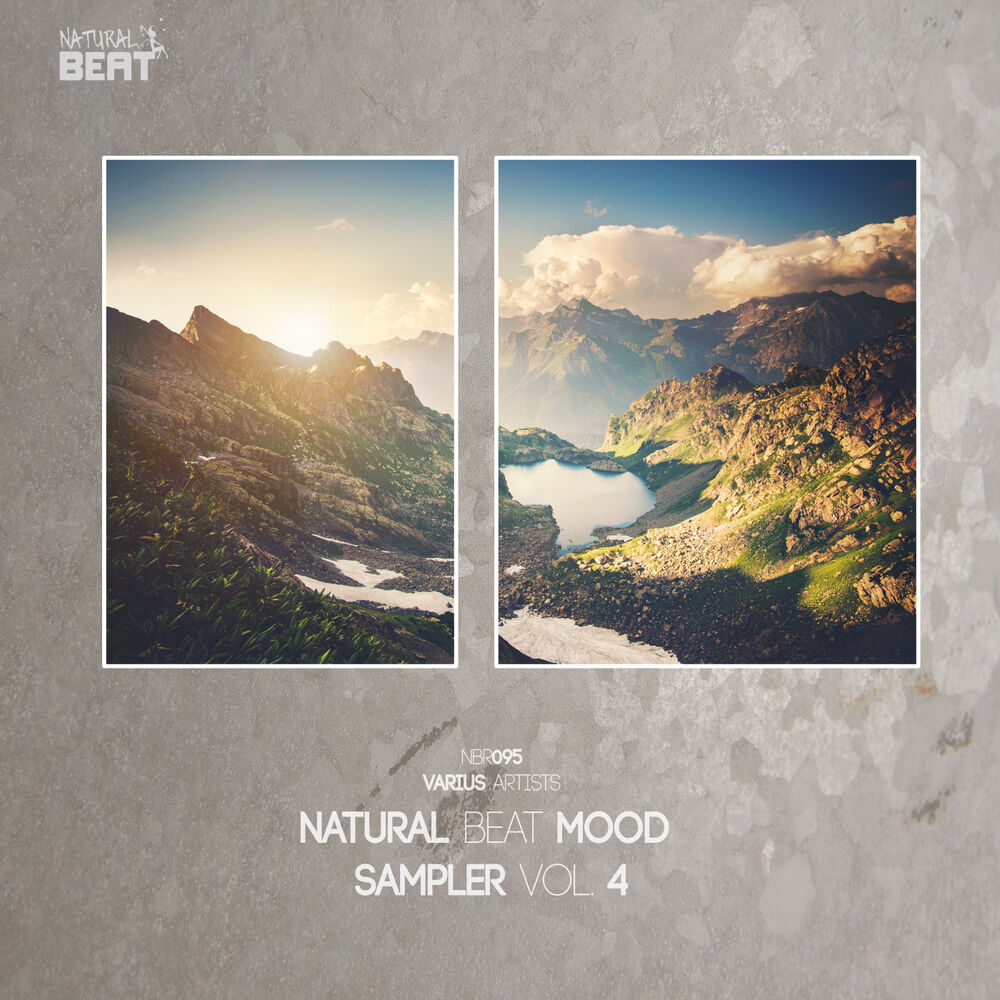 Picture of NATURAL BEAT MOOD SAMPLER, VOL. 4