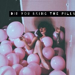 Cover of Did You Bring the Pills?