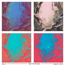 Cover of Feel The Forest