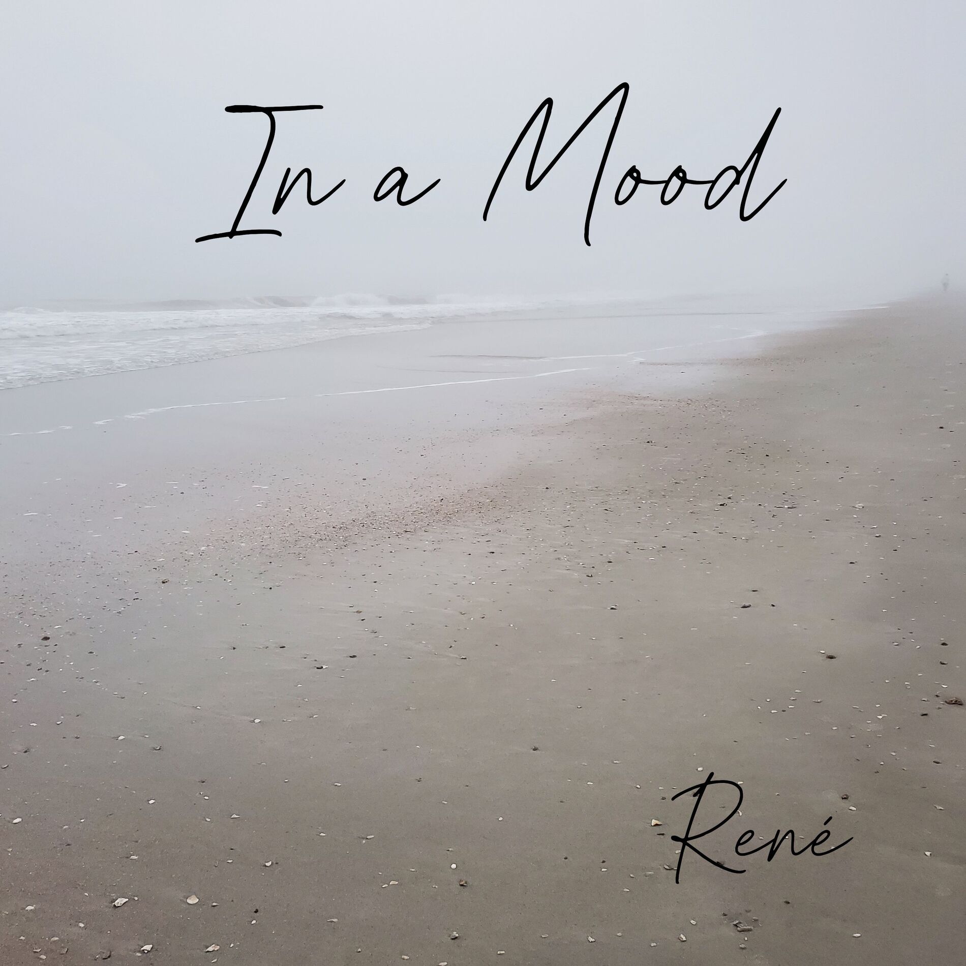 Album cover of In a Mood