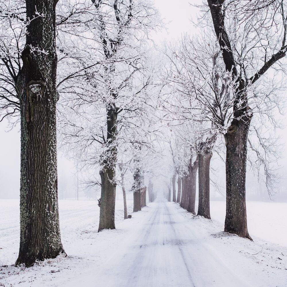 Picture of 2018 Meditation for the Holidays Christmas & New Year Special Mix