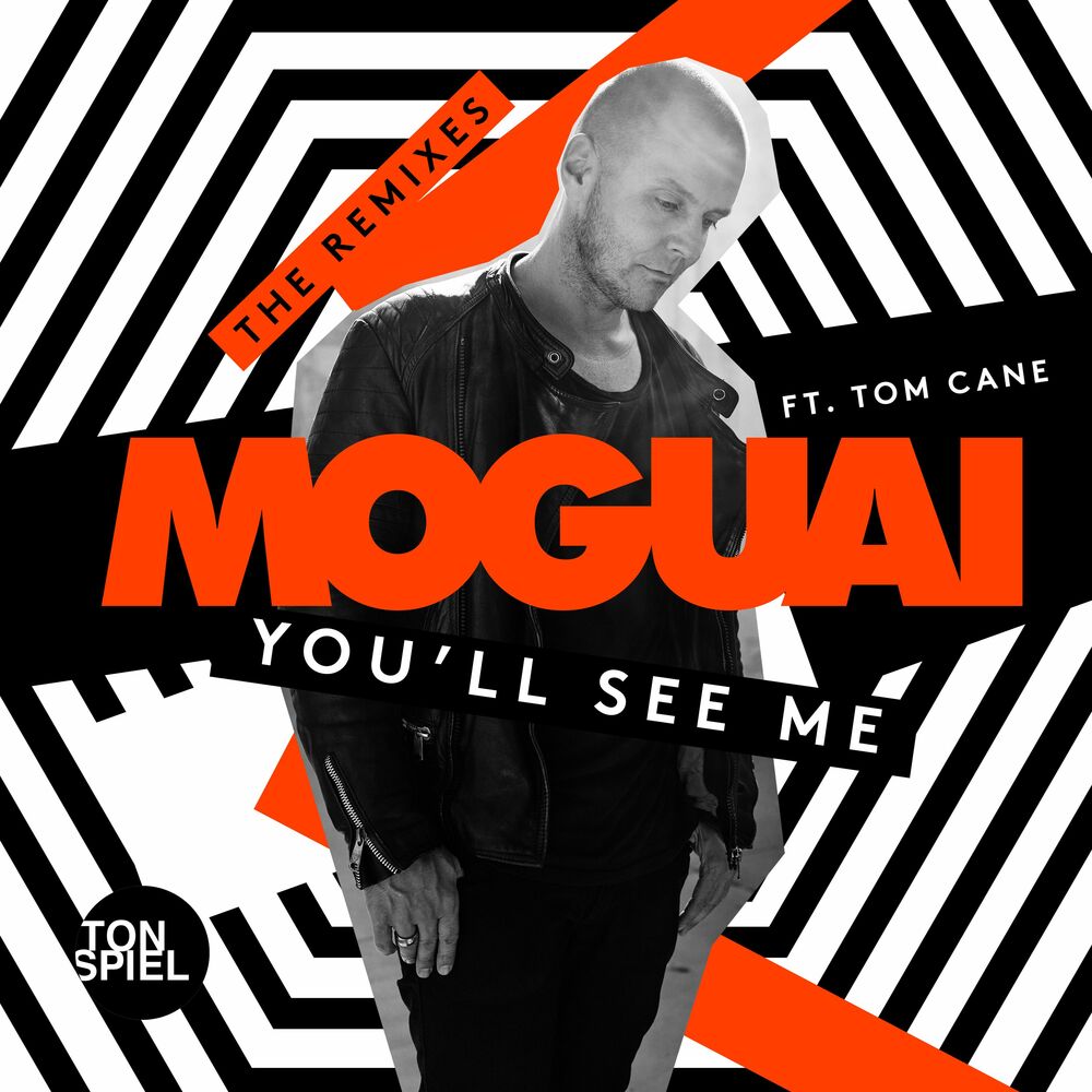 Picture of You'll See Me (feat. Tom Cane) (The Remixes)