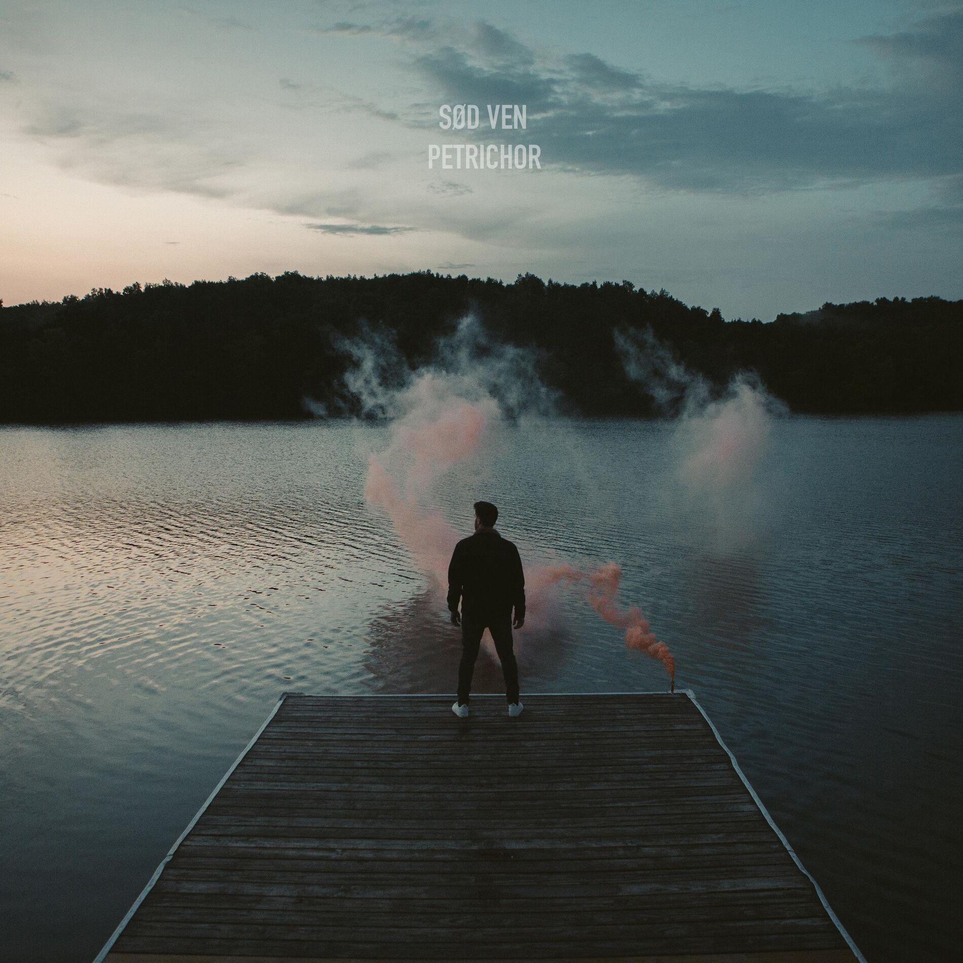 Album cover of hollow