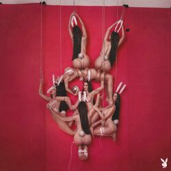 Cover of PLAYBOY