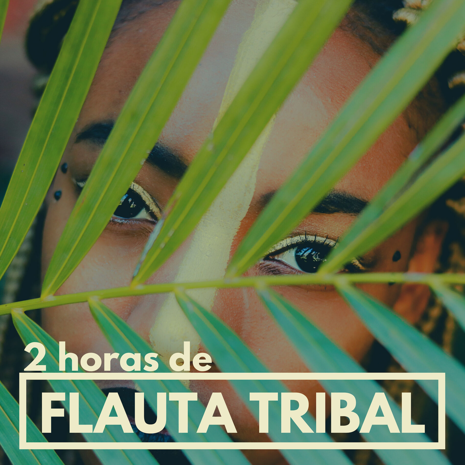 Album cover of 2 Horas de Flauta Tribal - Música Instrumental Ir a la Cama, Calmarse y Sueño Profundo y Reparador