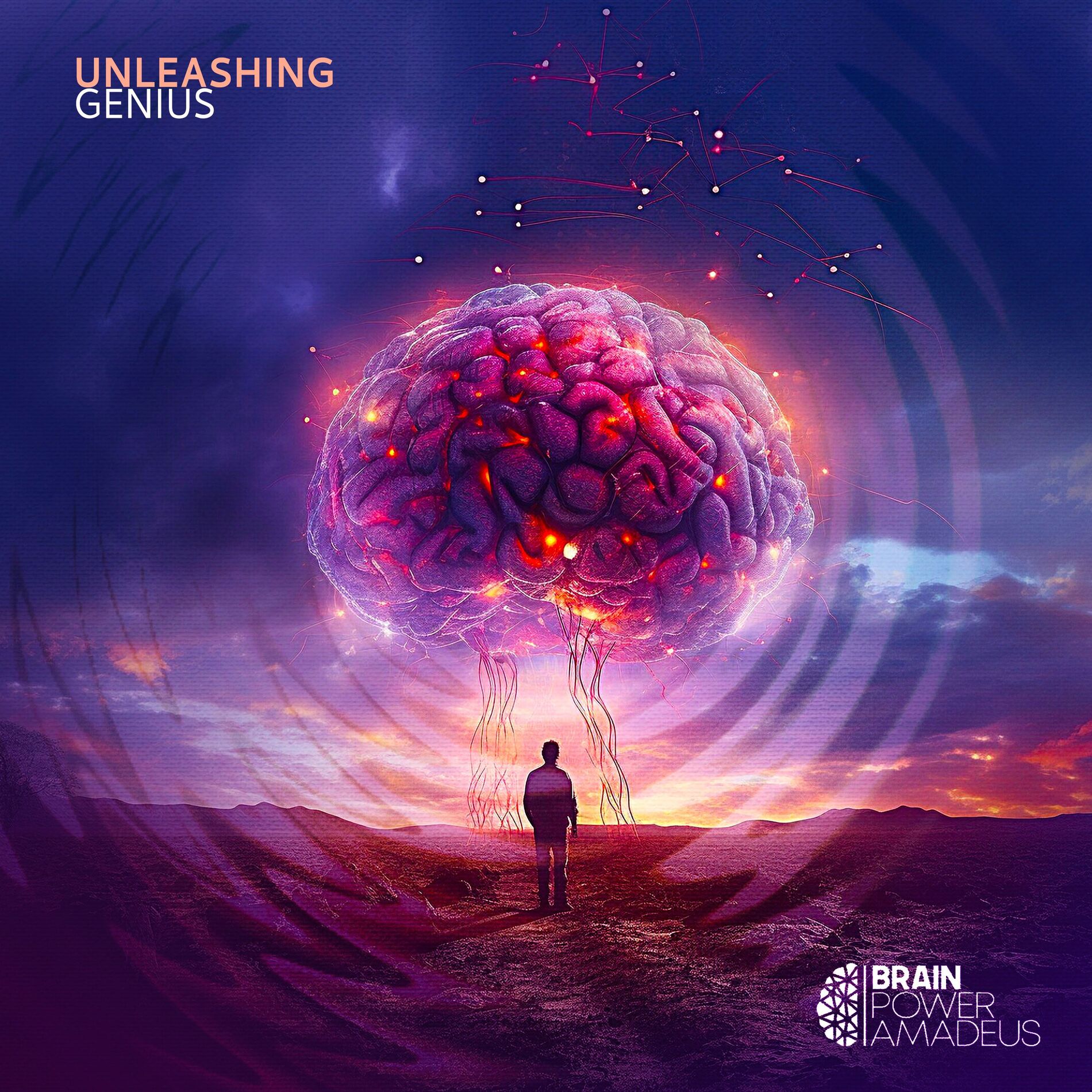 Album cover of Unleashing Genius