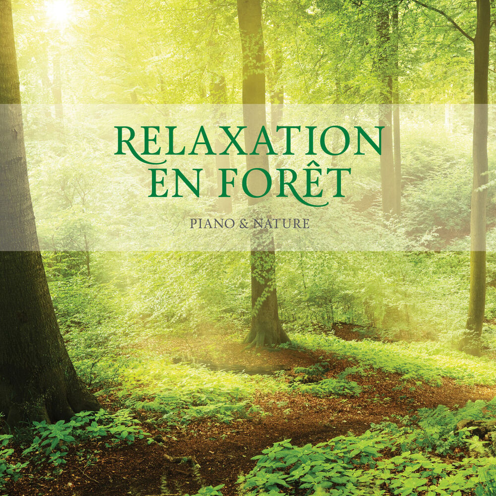 Picture of Relaxation En Foret