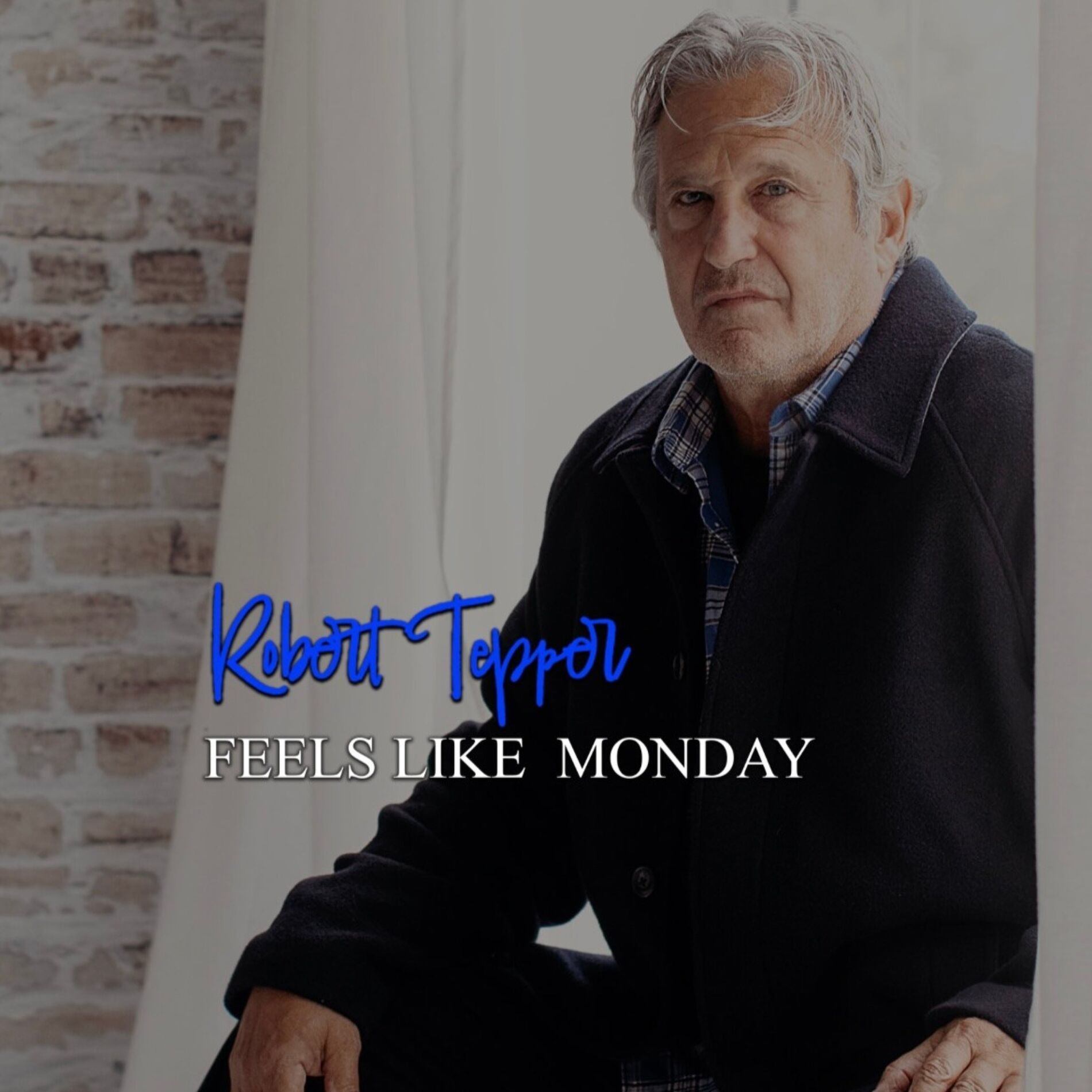 Album cover of Feels Like Monday