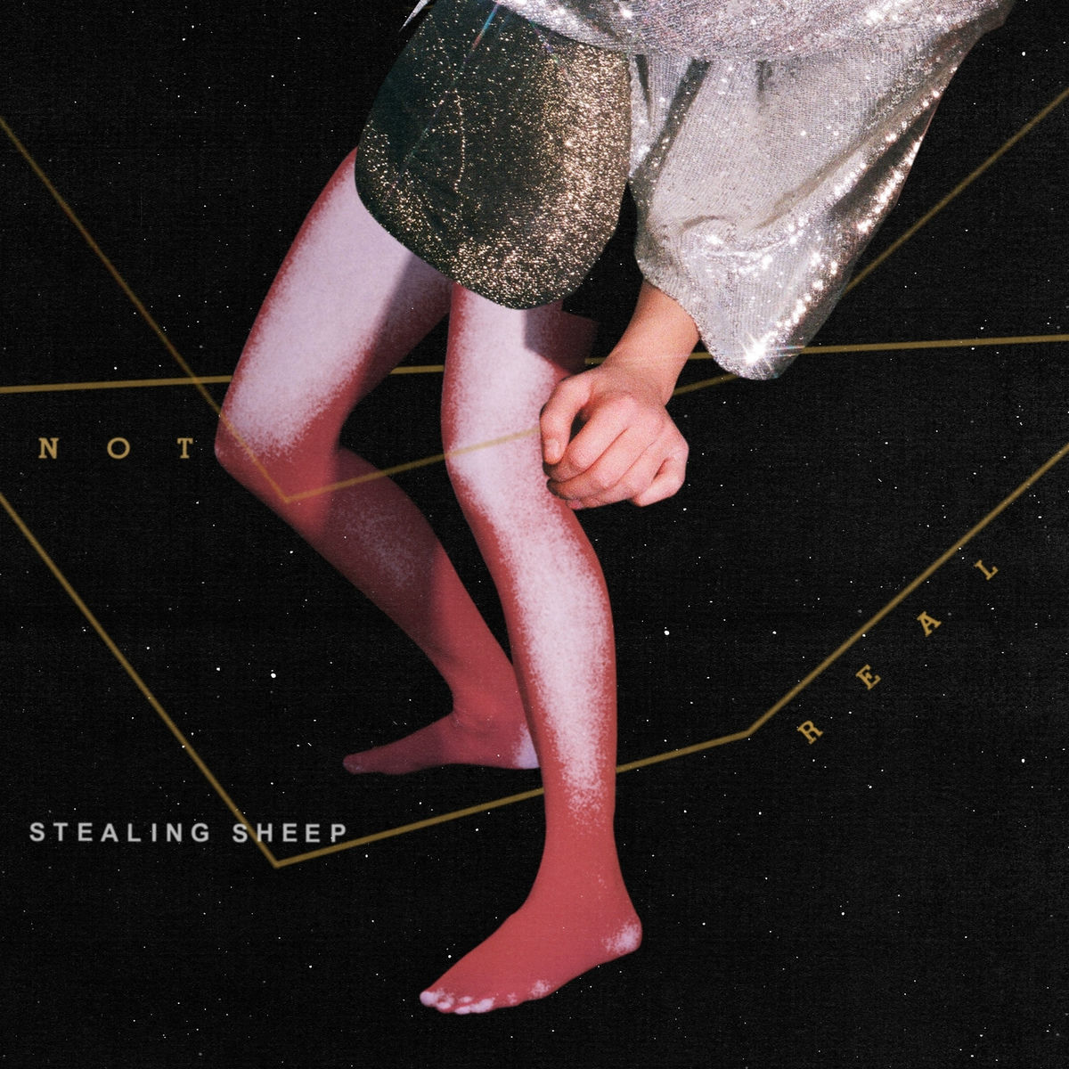 Album cover of Not real
