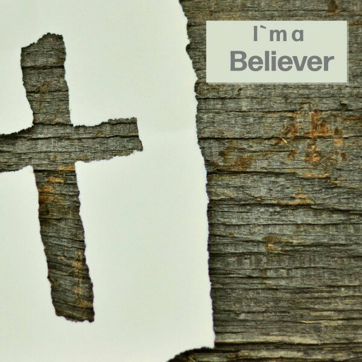 Album cover of I'm a Believer