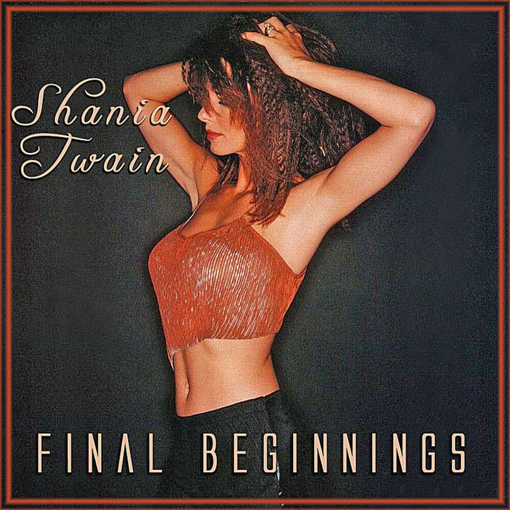 Picture of Final Beginnings
