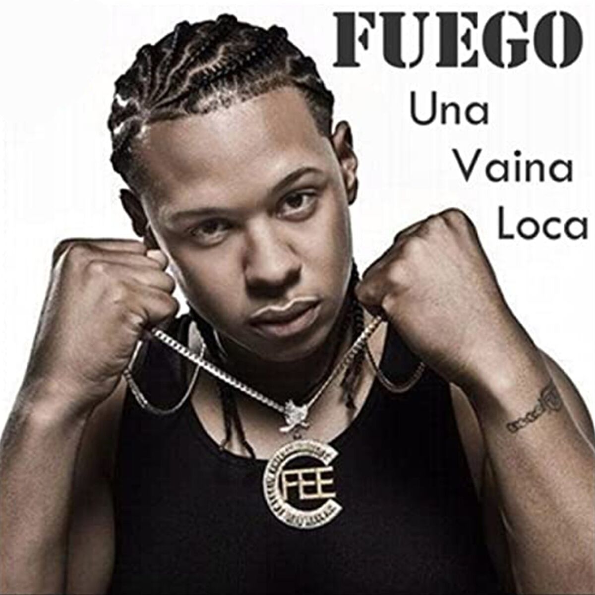 Album picture of Una Vaina Loca