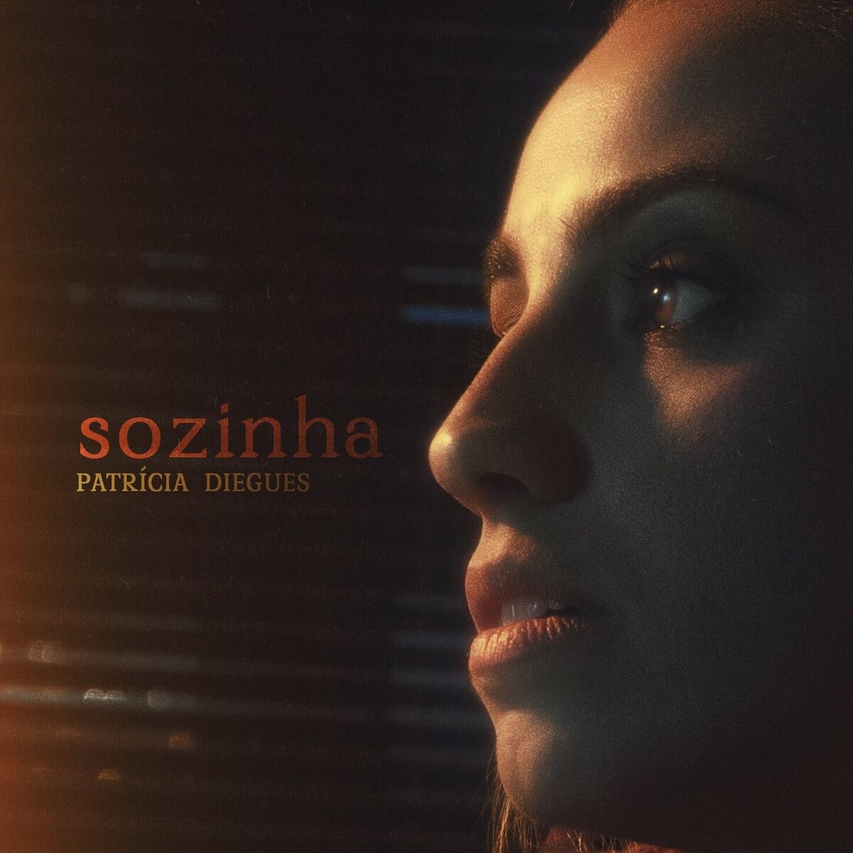 Album cover of Sozinha