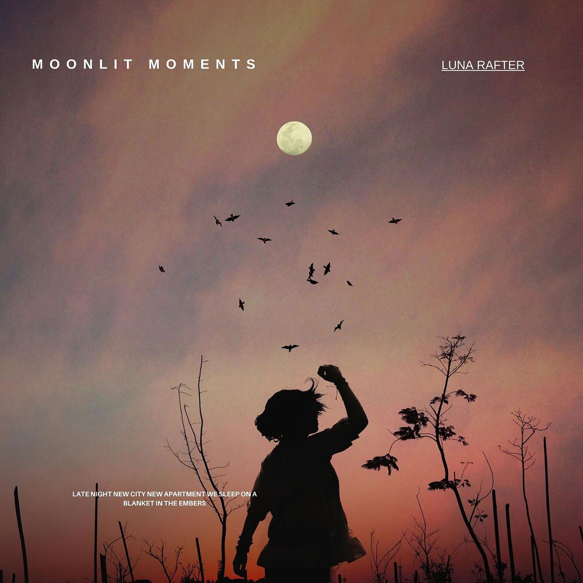 Album cover of Moonlit Moments