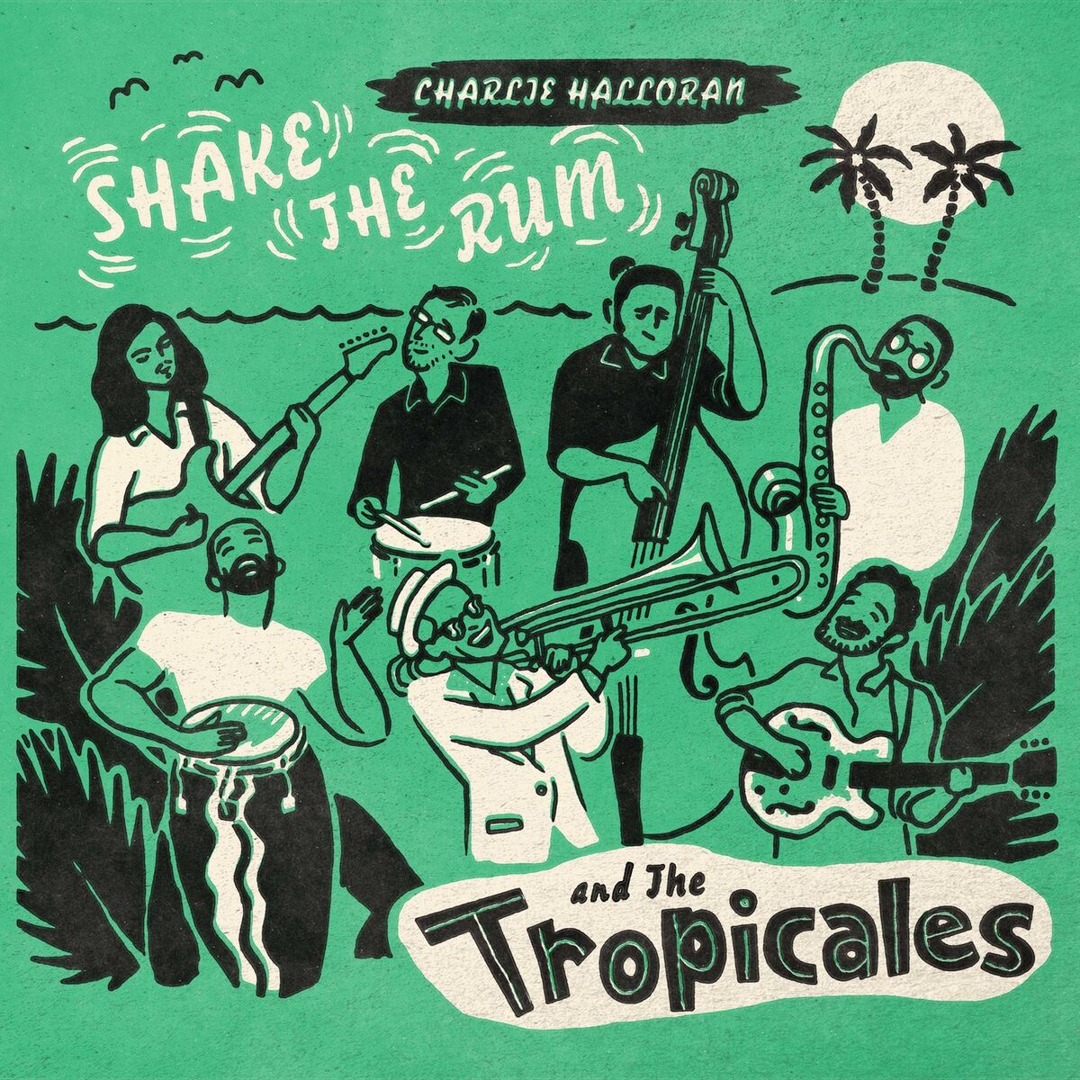 Album cover of Shake the Rum