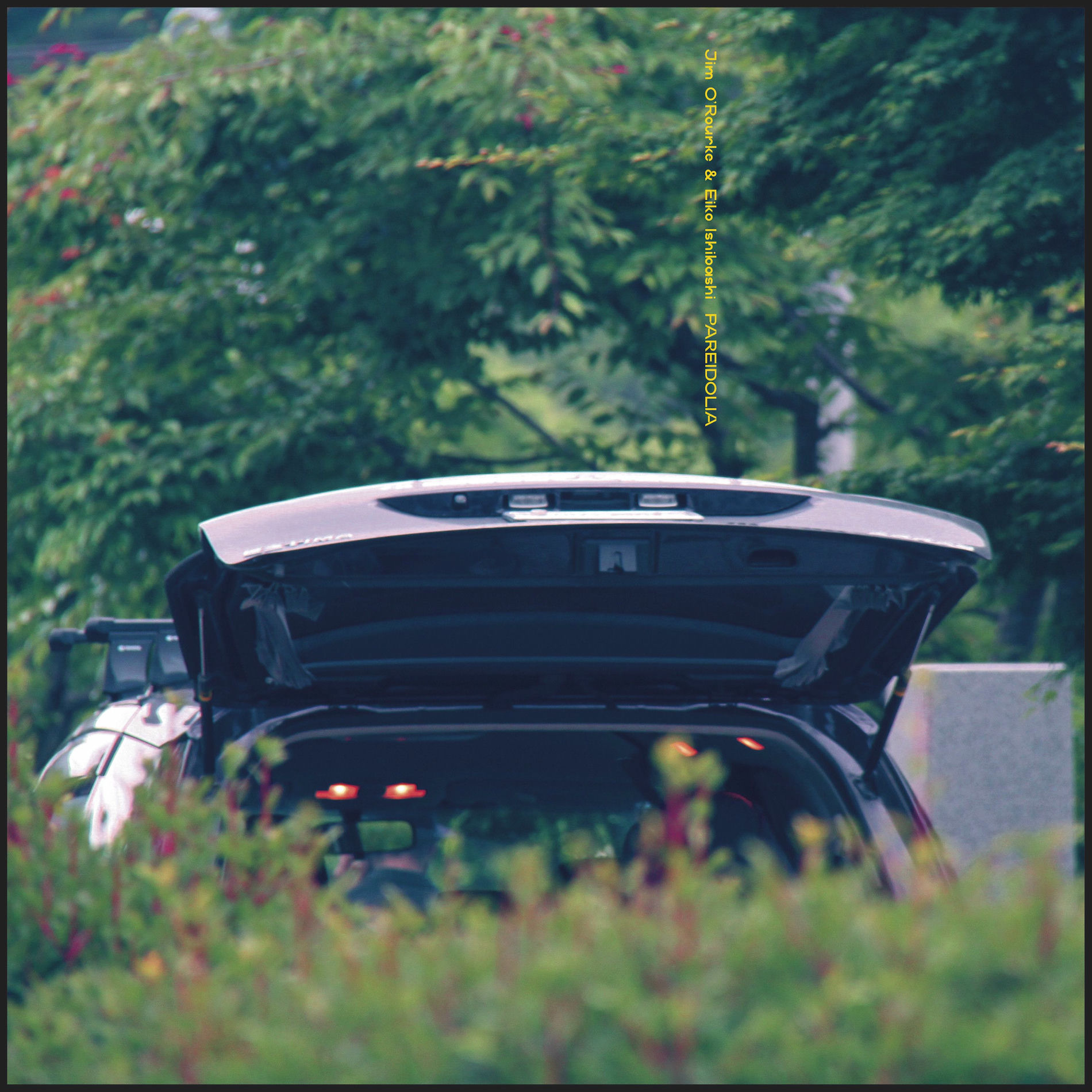 Album cover of Pareidolia