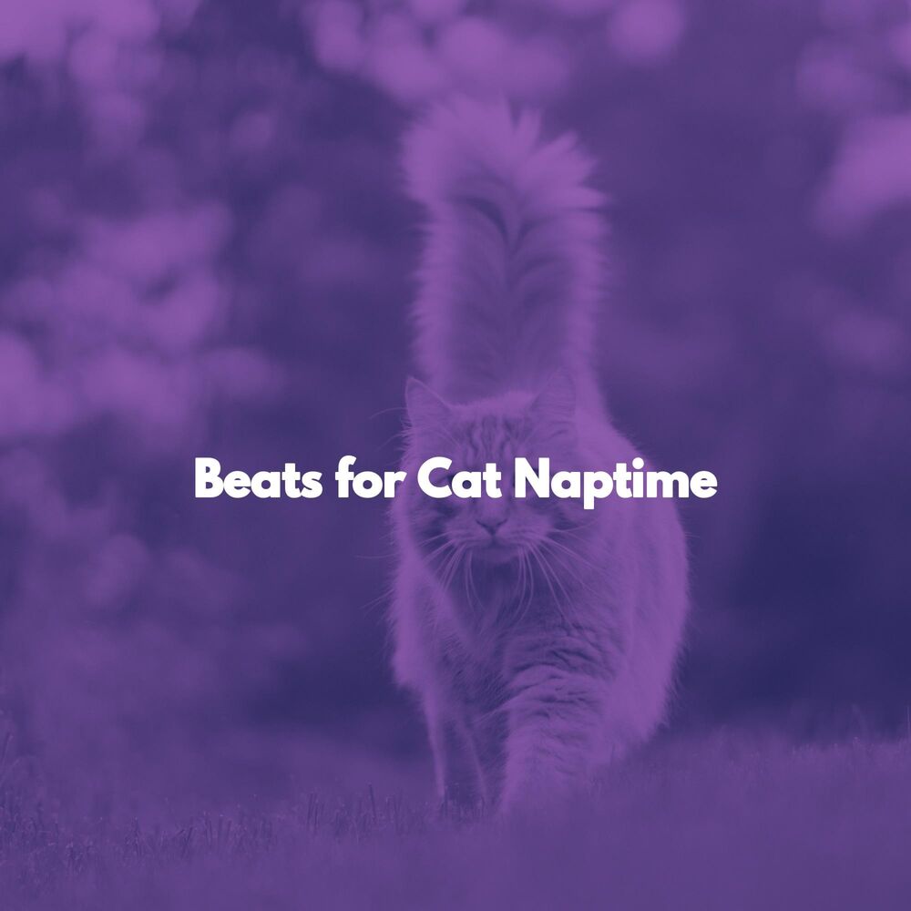 Picture of Beats for Cat Naptime