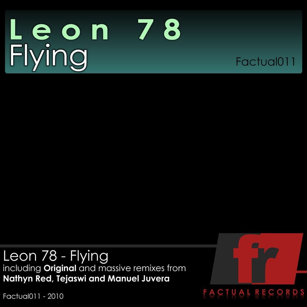 Picture of Flying
