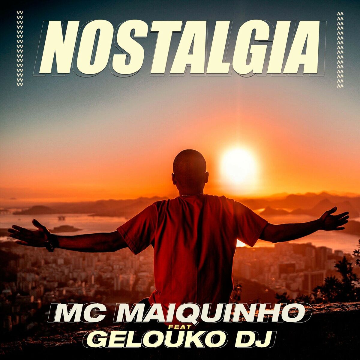 Album cover of Nós Não Ama (Nós Engana)