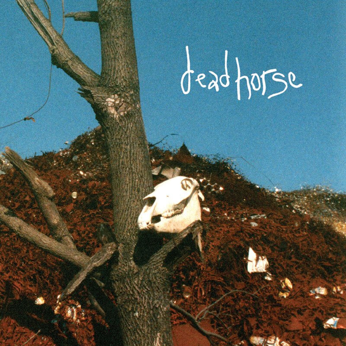 Album cover of Horsecore: An Unrelated Story That’s Time Consuming (2020 Remix) (Remastered)