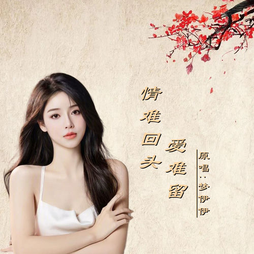 情难回头爱难留 (DJ版)