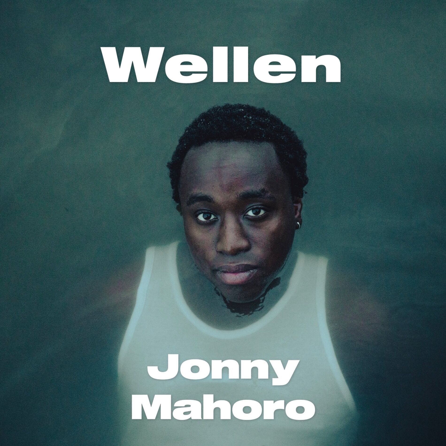 Album cover of Wellen