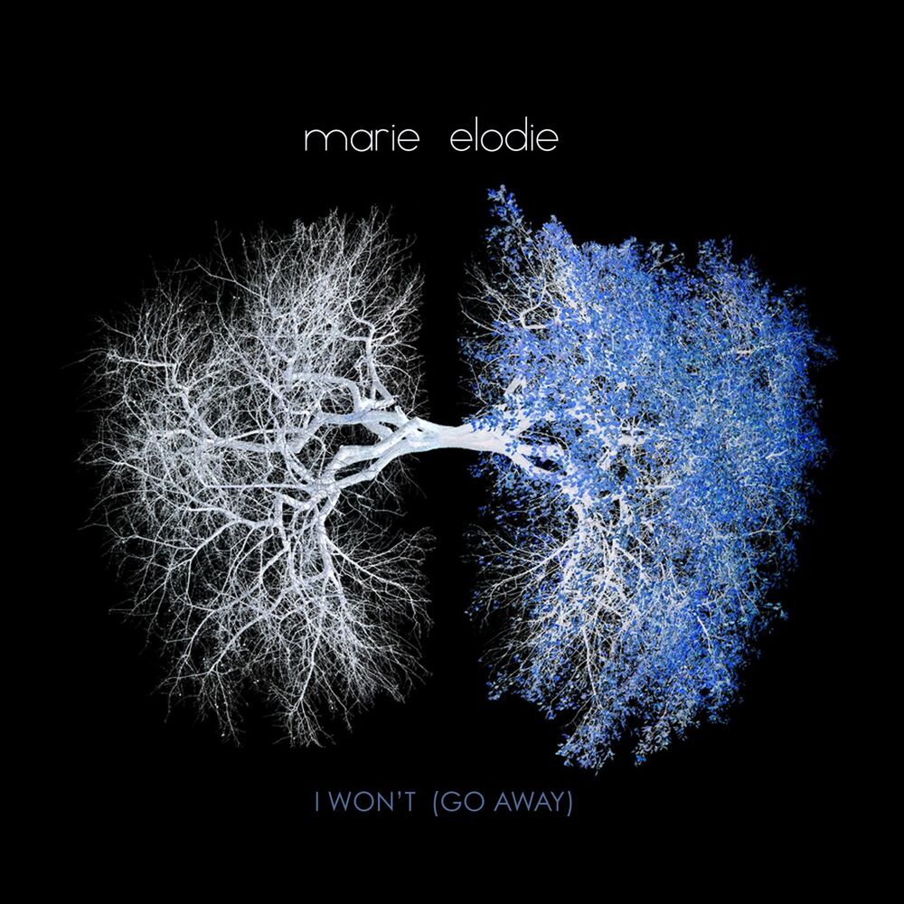 Picture of I Won't (Go Away)