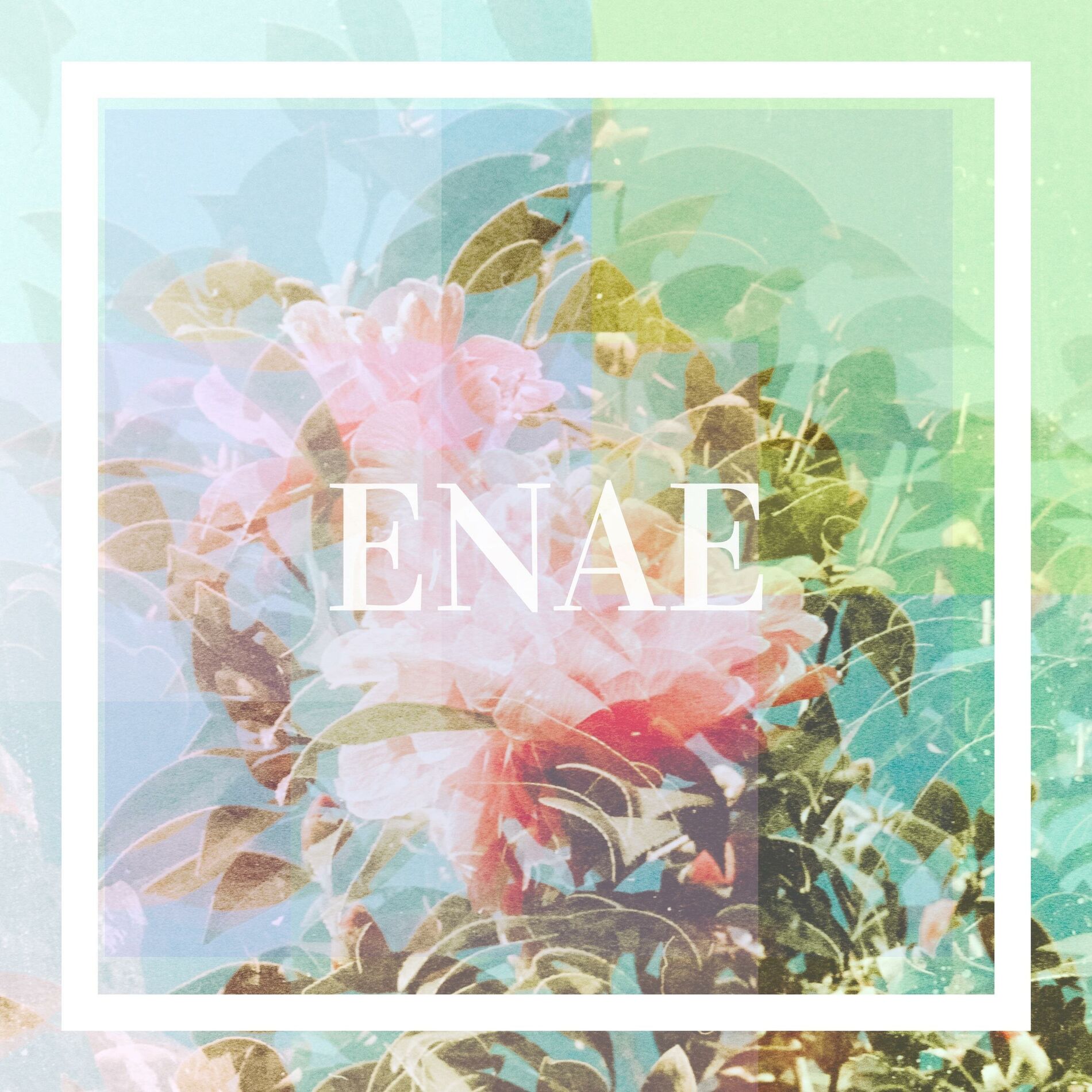 Album cover of Haze