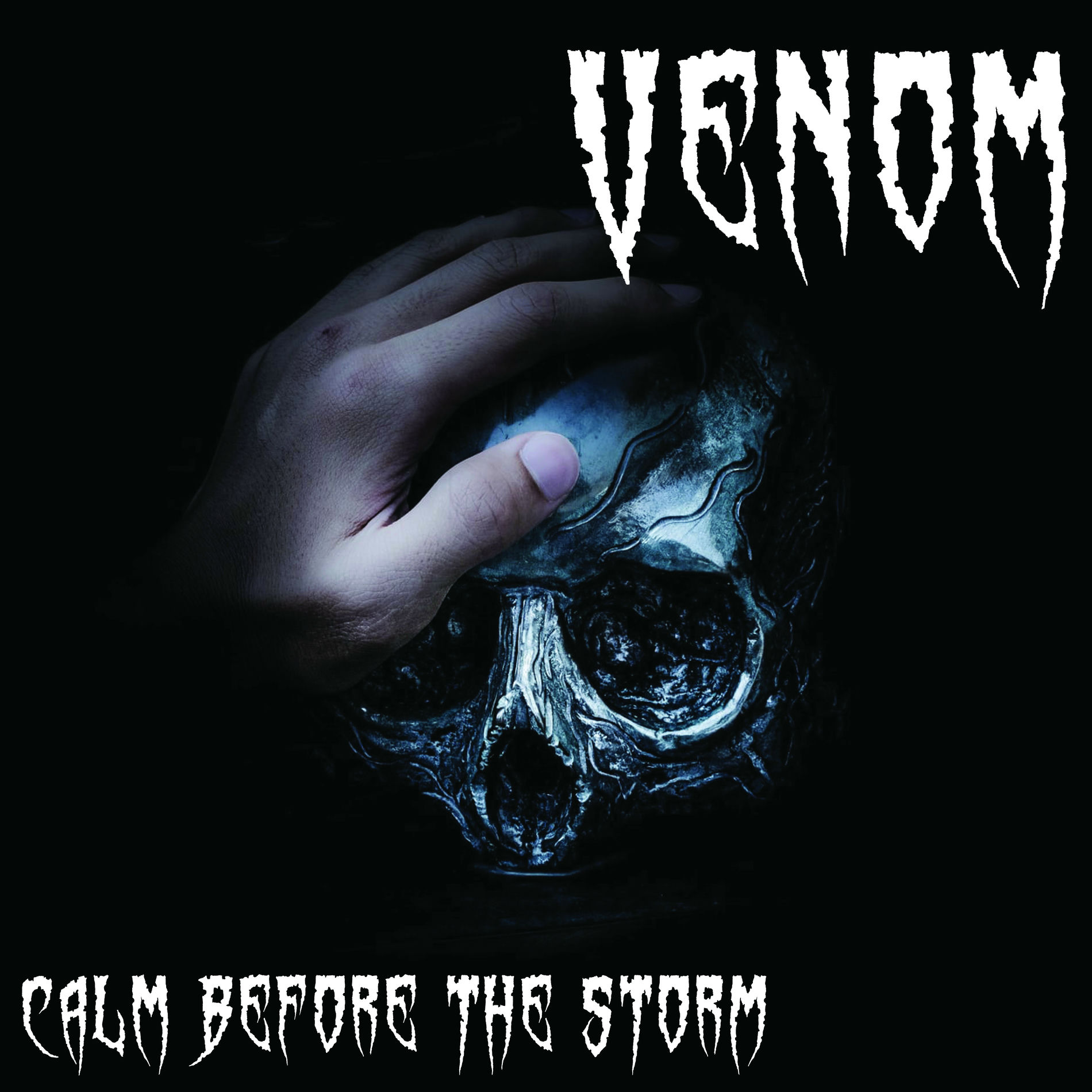 Album cover of Calm Before the Storm