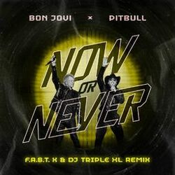 Cover of Now or Never (F.A.S.T x & DJ Triple XL Remix)