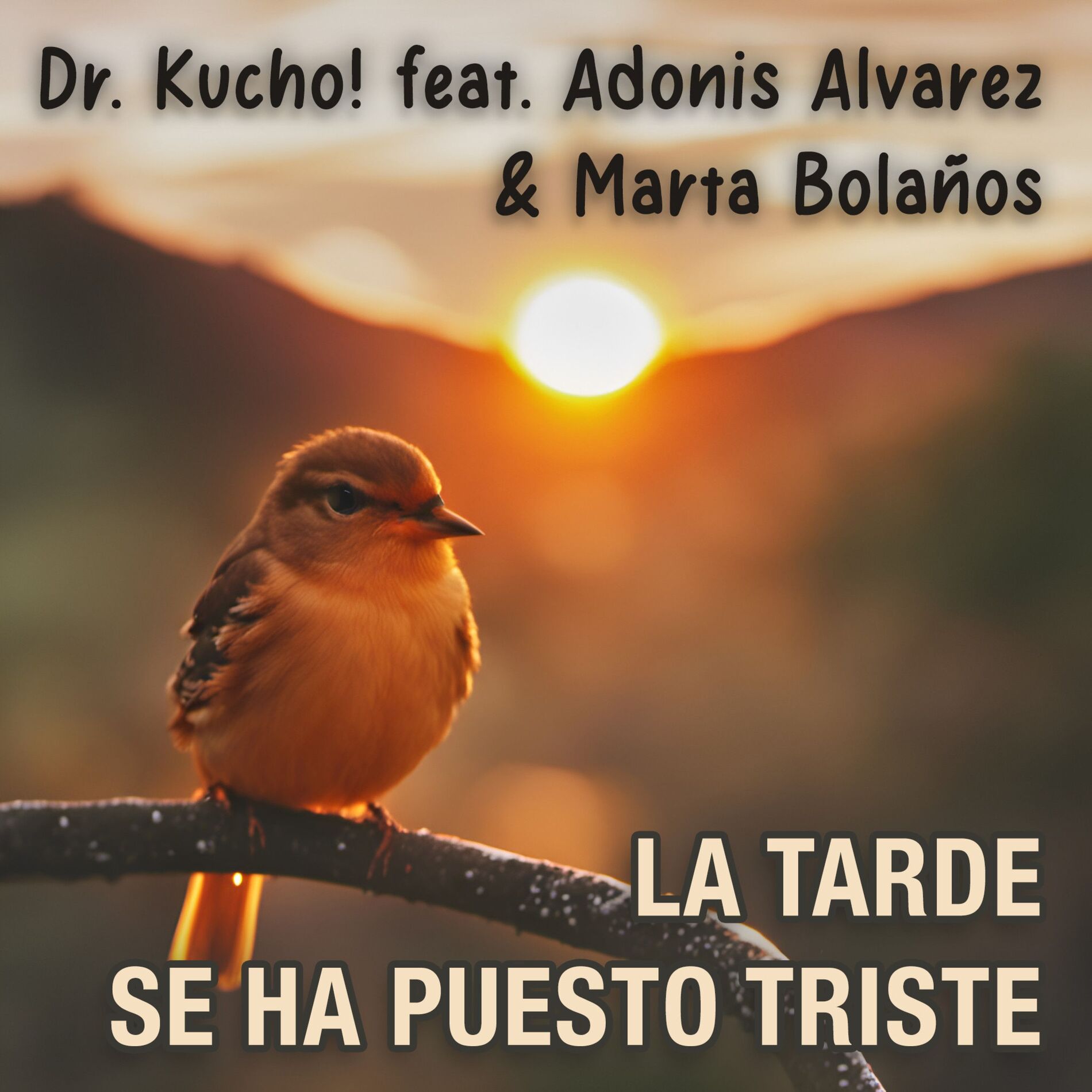 Album cover of La Tarde Se Ha Puesto Triste