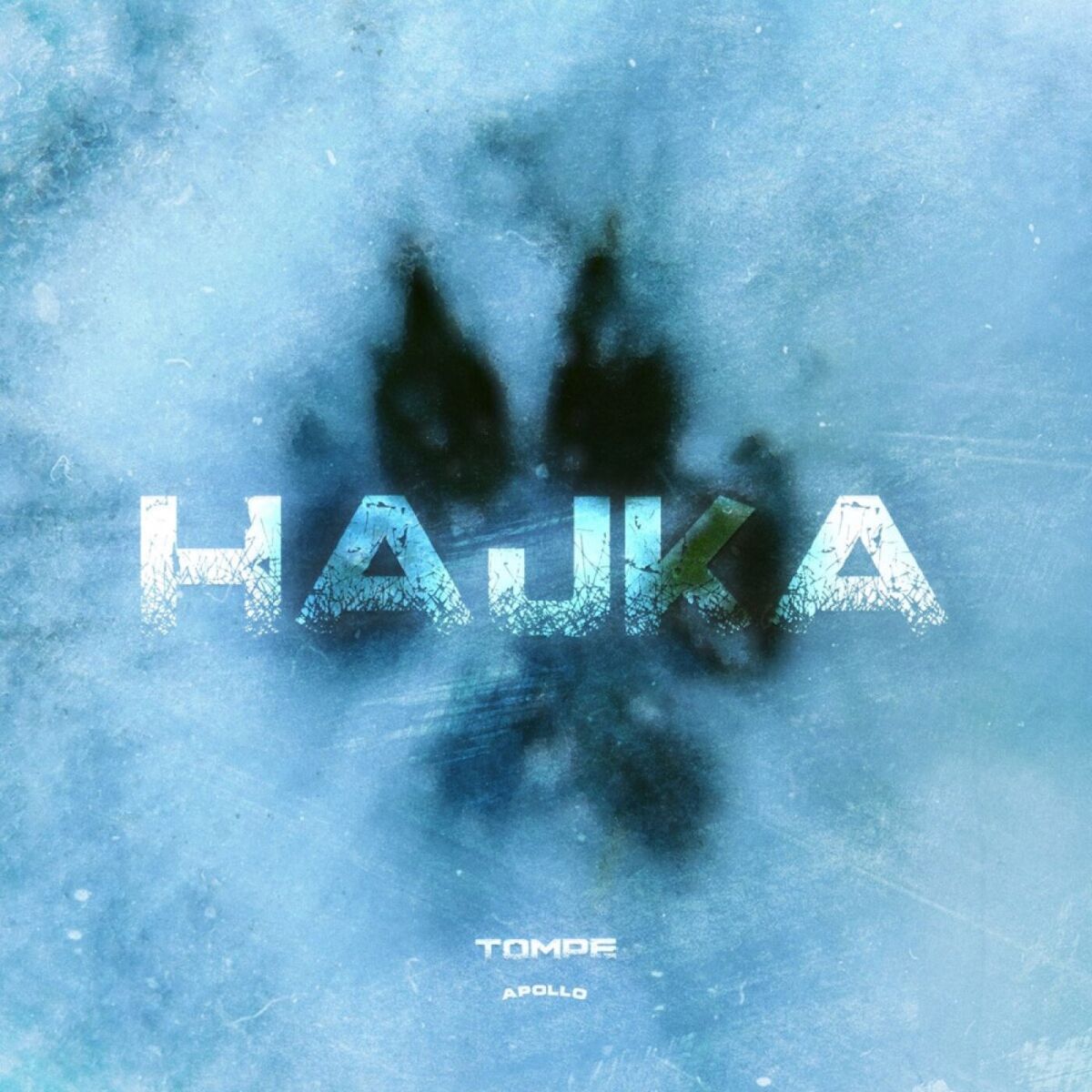 Album cover of Hajka