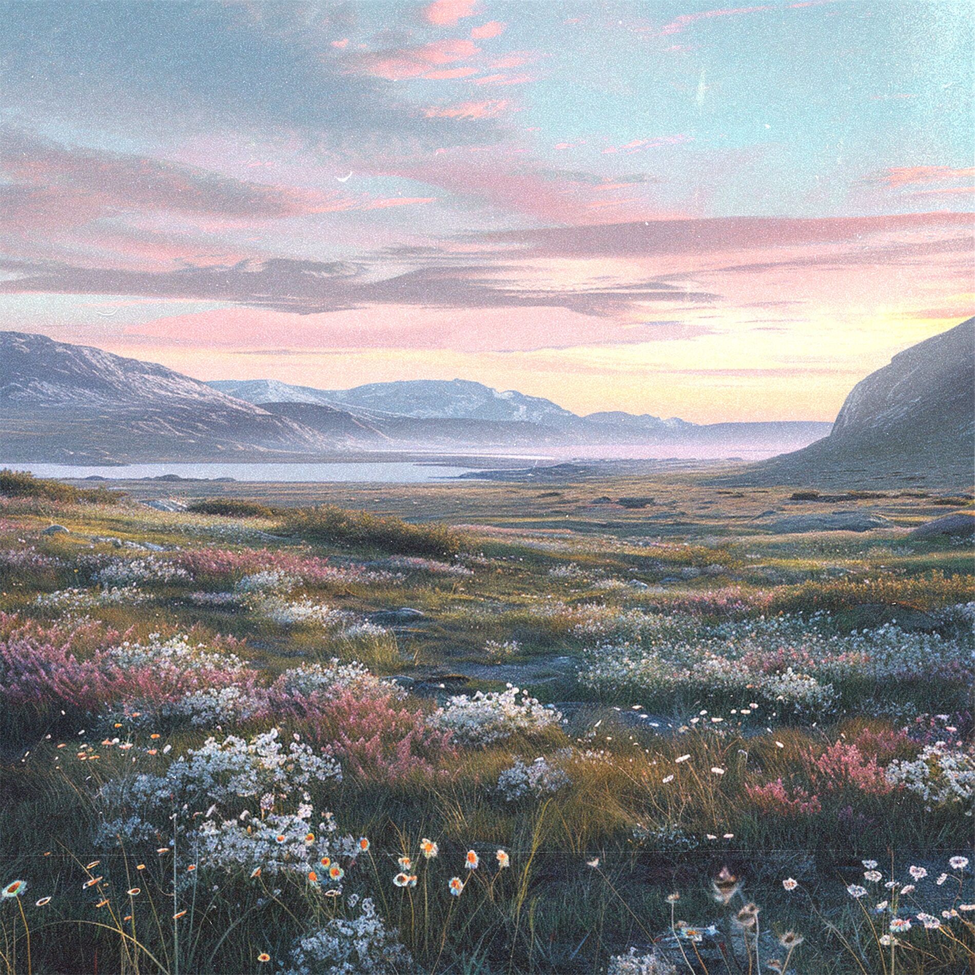 Album cover of Öppna Vidder