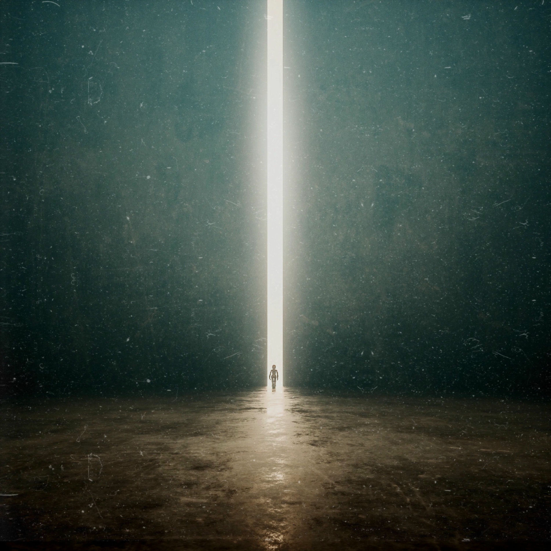 Album cover of Distant Light