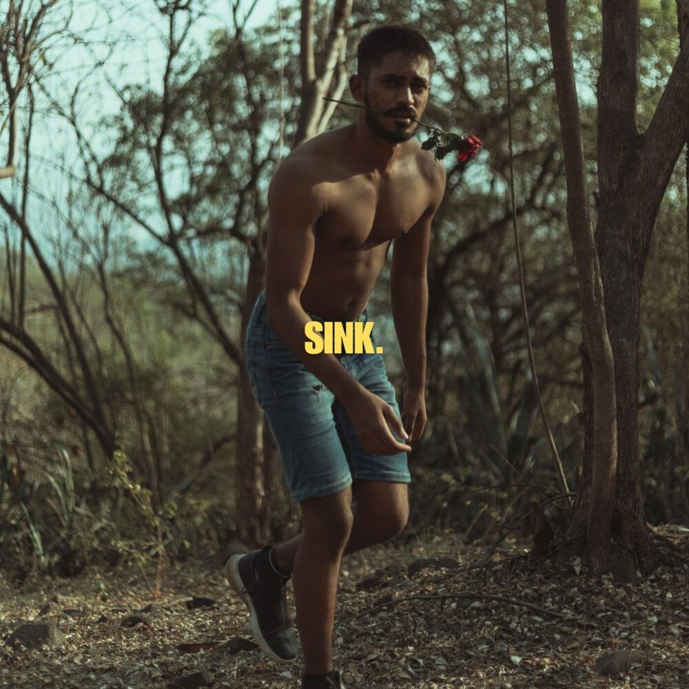 Picture of Sink
