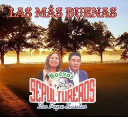 Cover of Las más Buenas