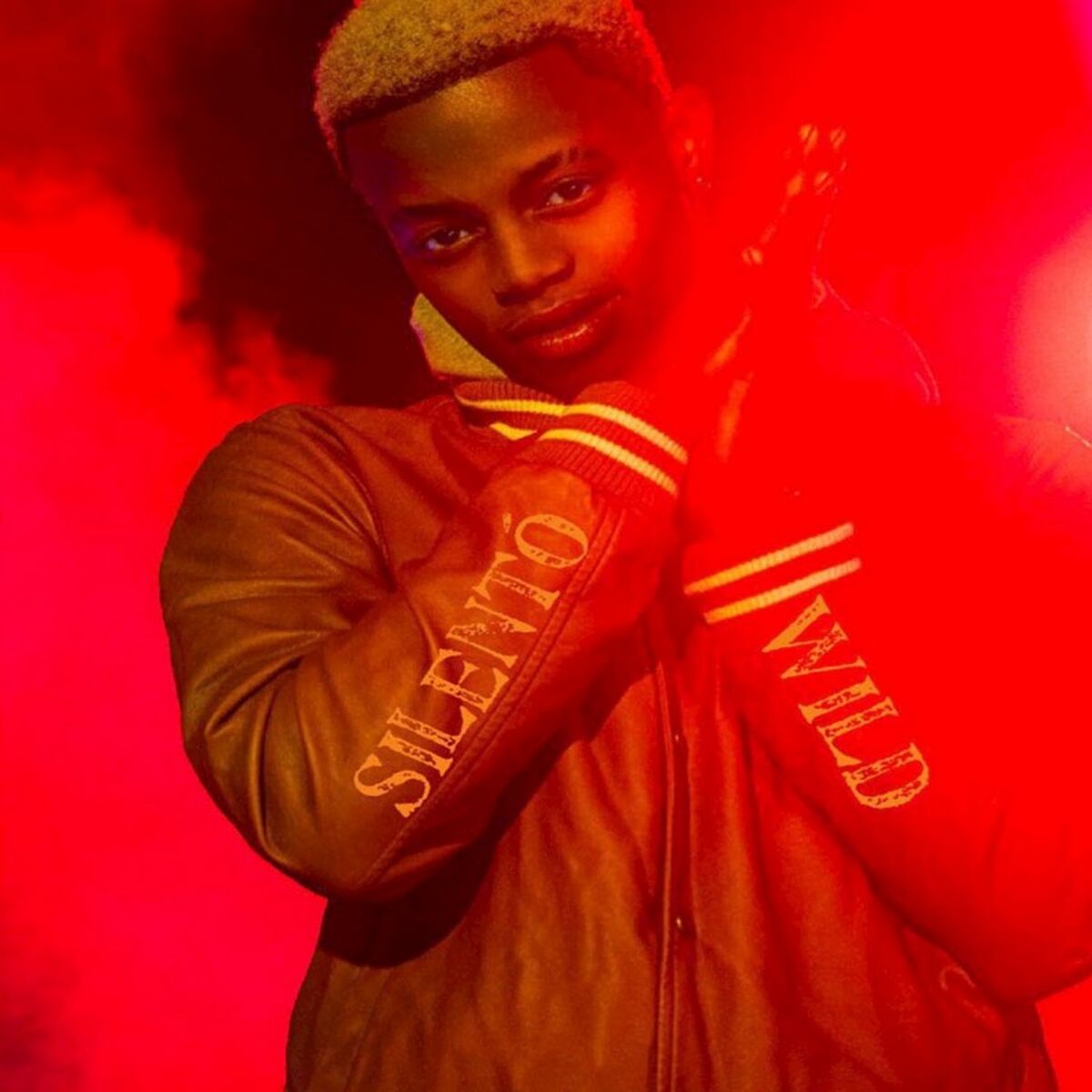 Album cover of Wild