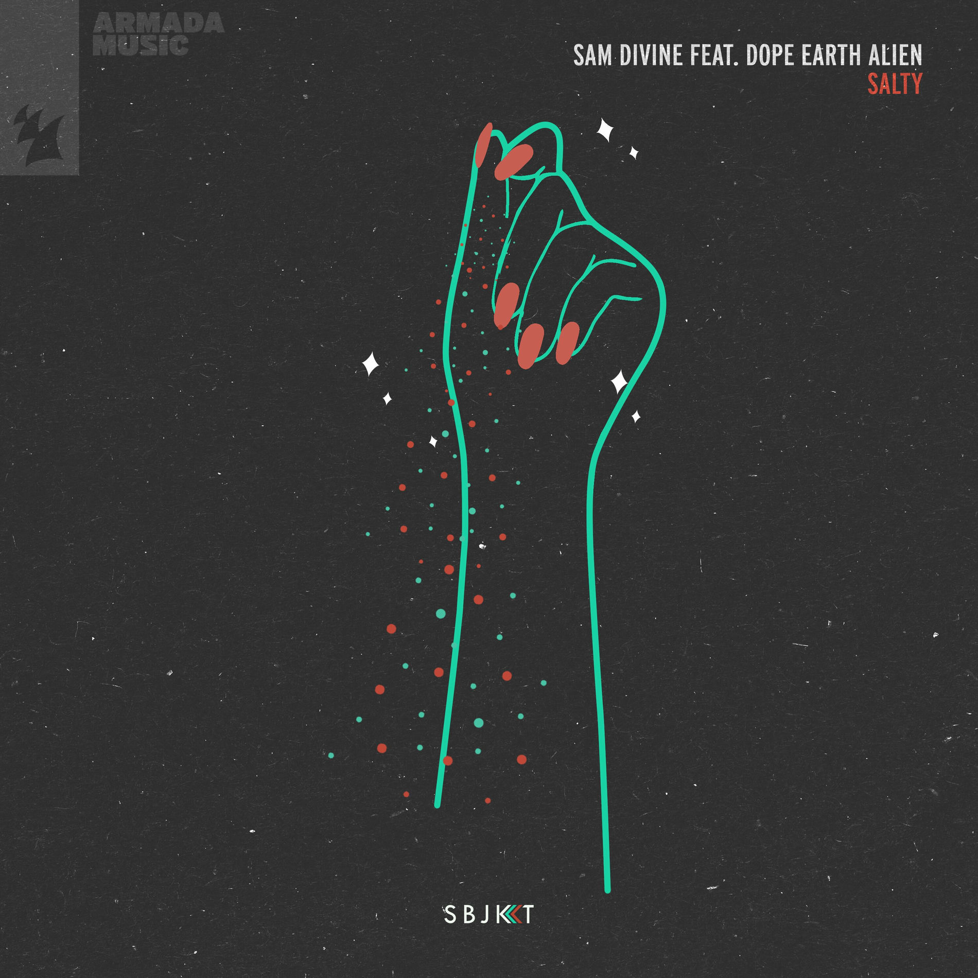 Album cover of Salty