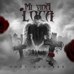 Cover of Mi Vida Loca
