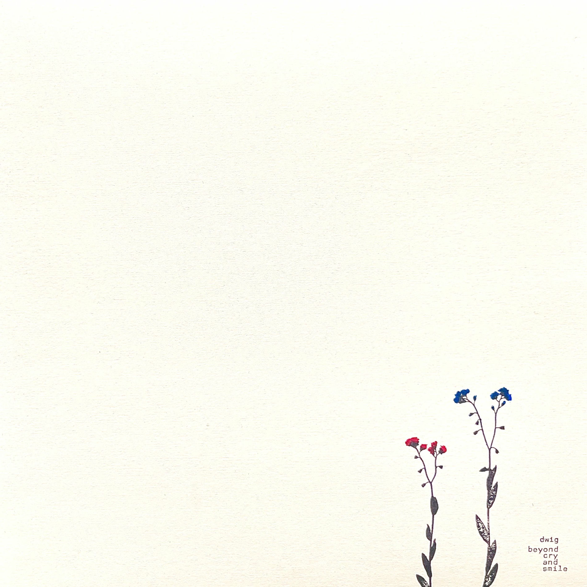 Album cover of Beyond Cry And Smile EP